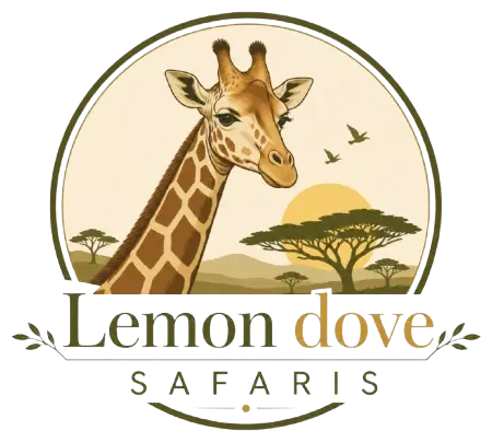 Lemon Dove Safaris